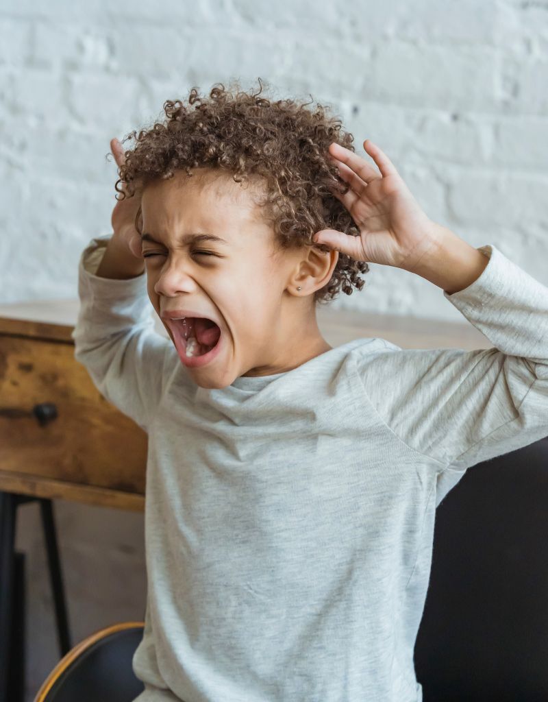 éMoa l'accompagnement et le soutien pour les enfants, les familles, les parents, les femmes enceintes et le désir de maternité avec Sophie Burgaud sur Bouaye